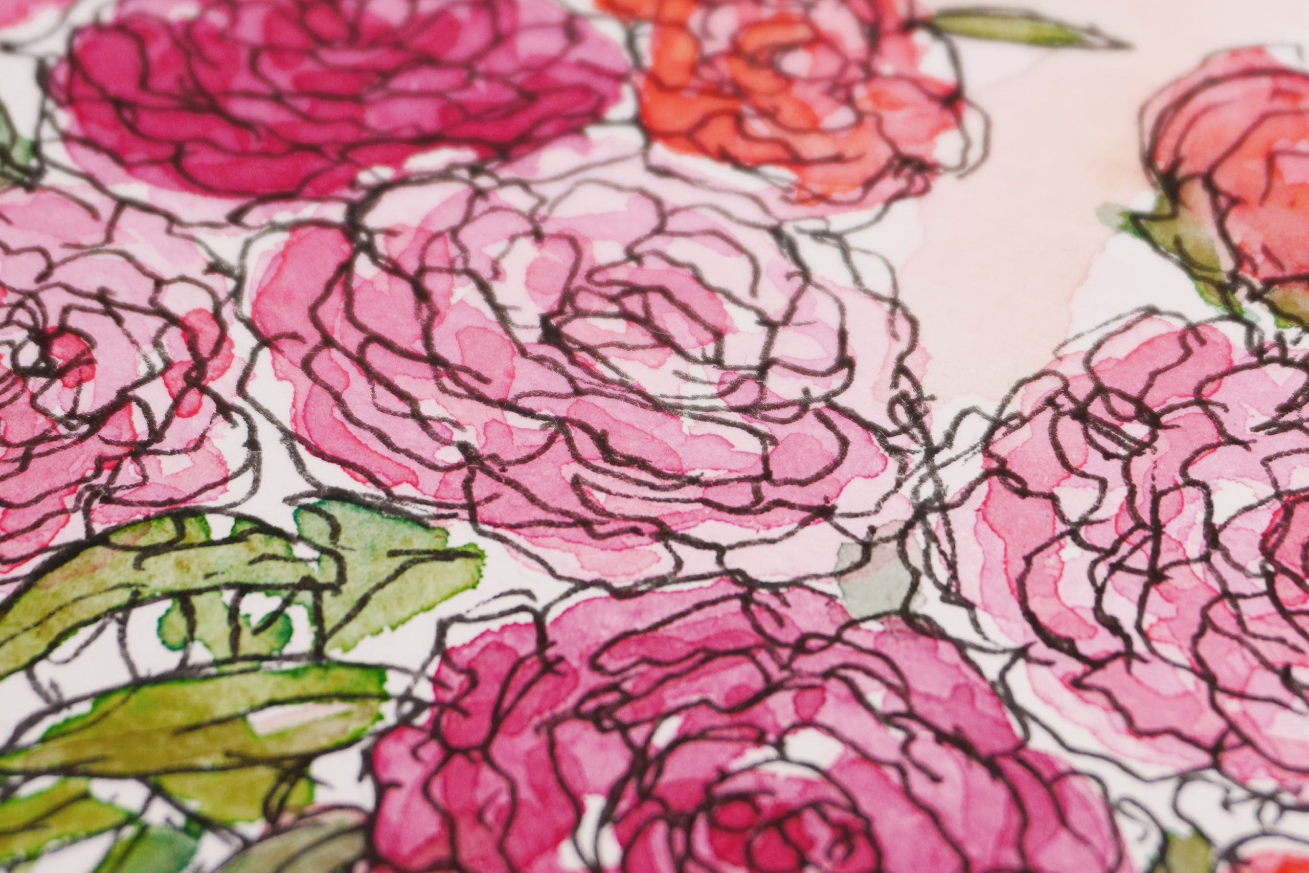 Abundant-Blooms-Close-Up-Peonies-Header