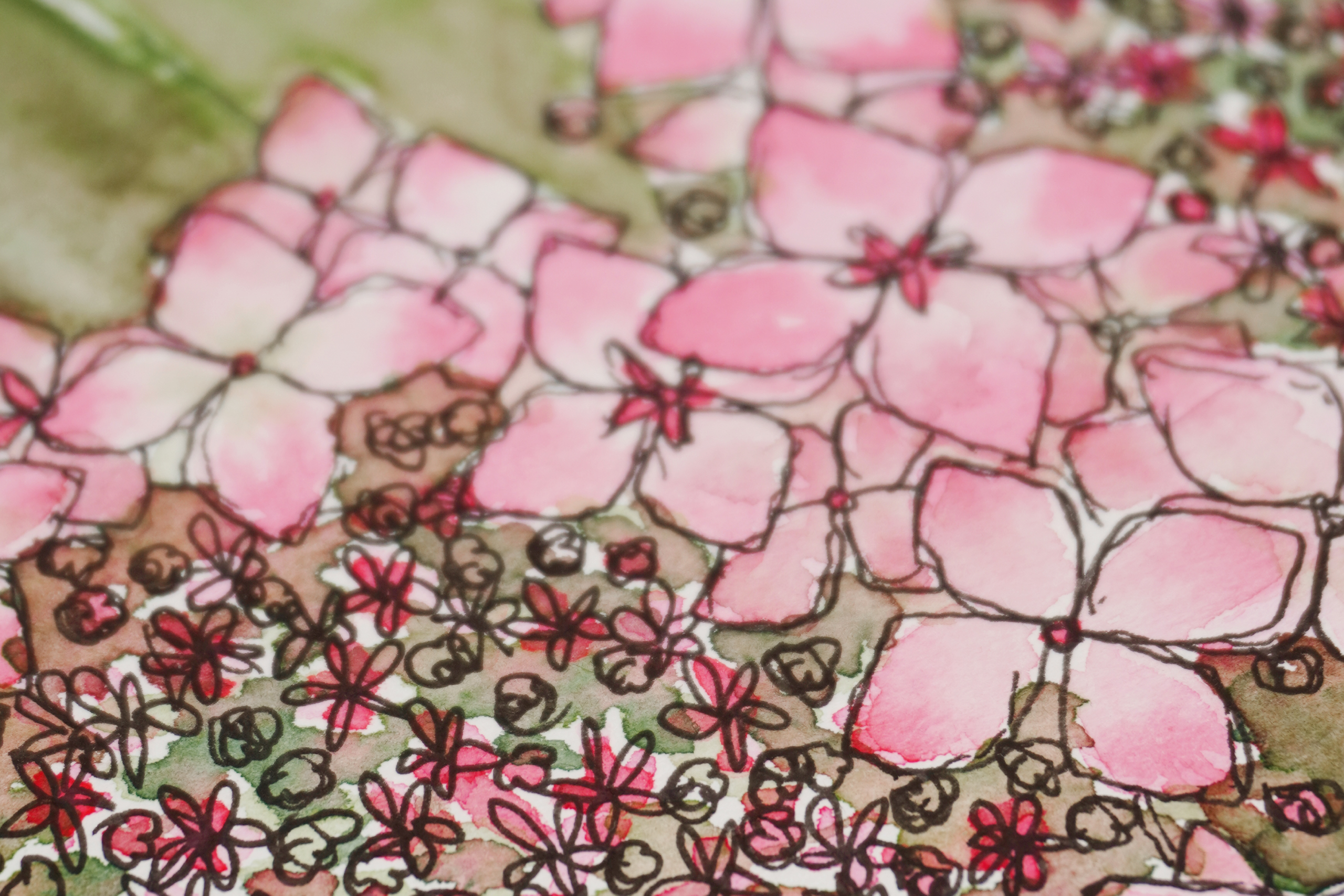 Gentle-Whispers-Close-Up-Hydrangea-Header