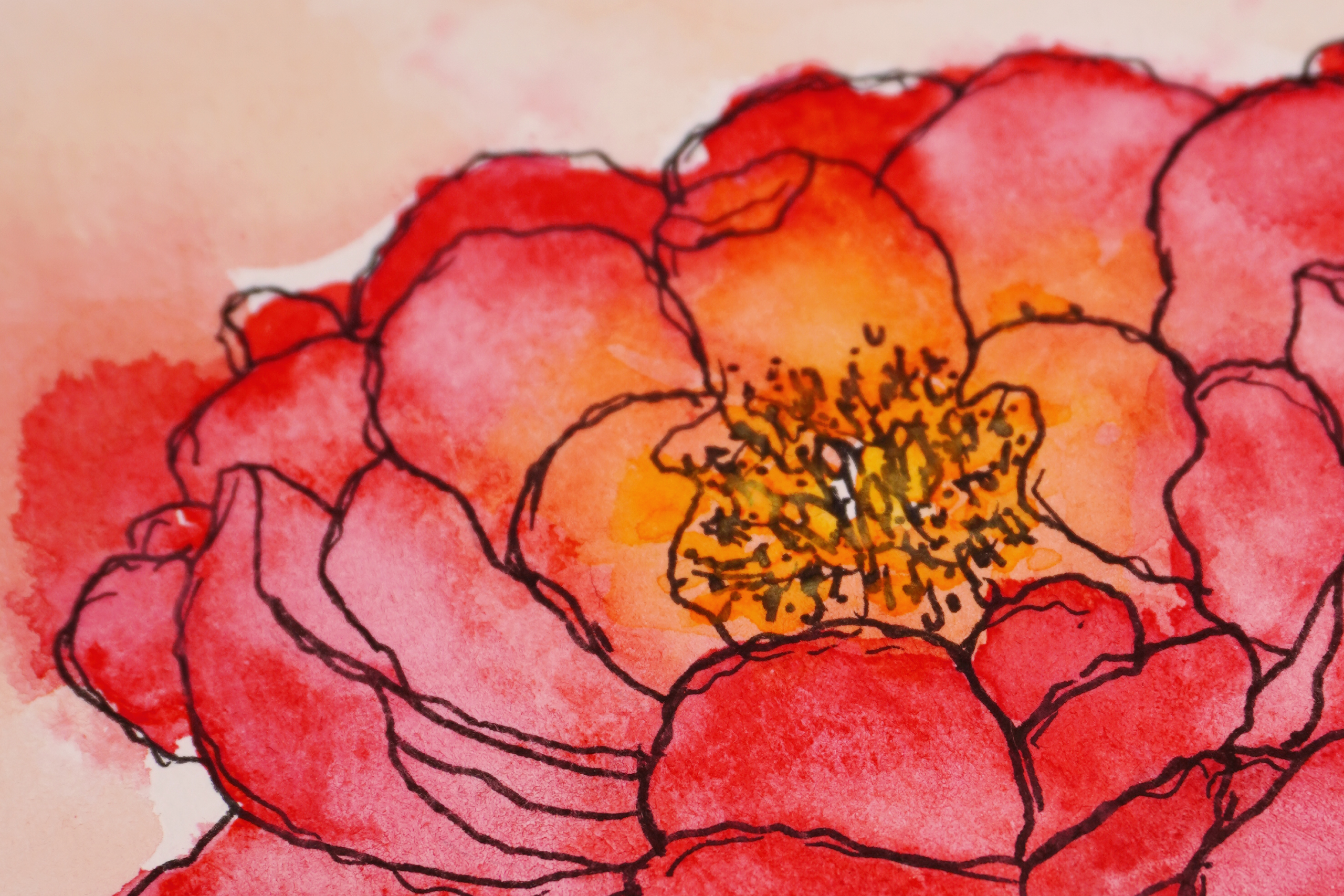 Radiant-Bloom-Close-Up-Peony-Header