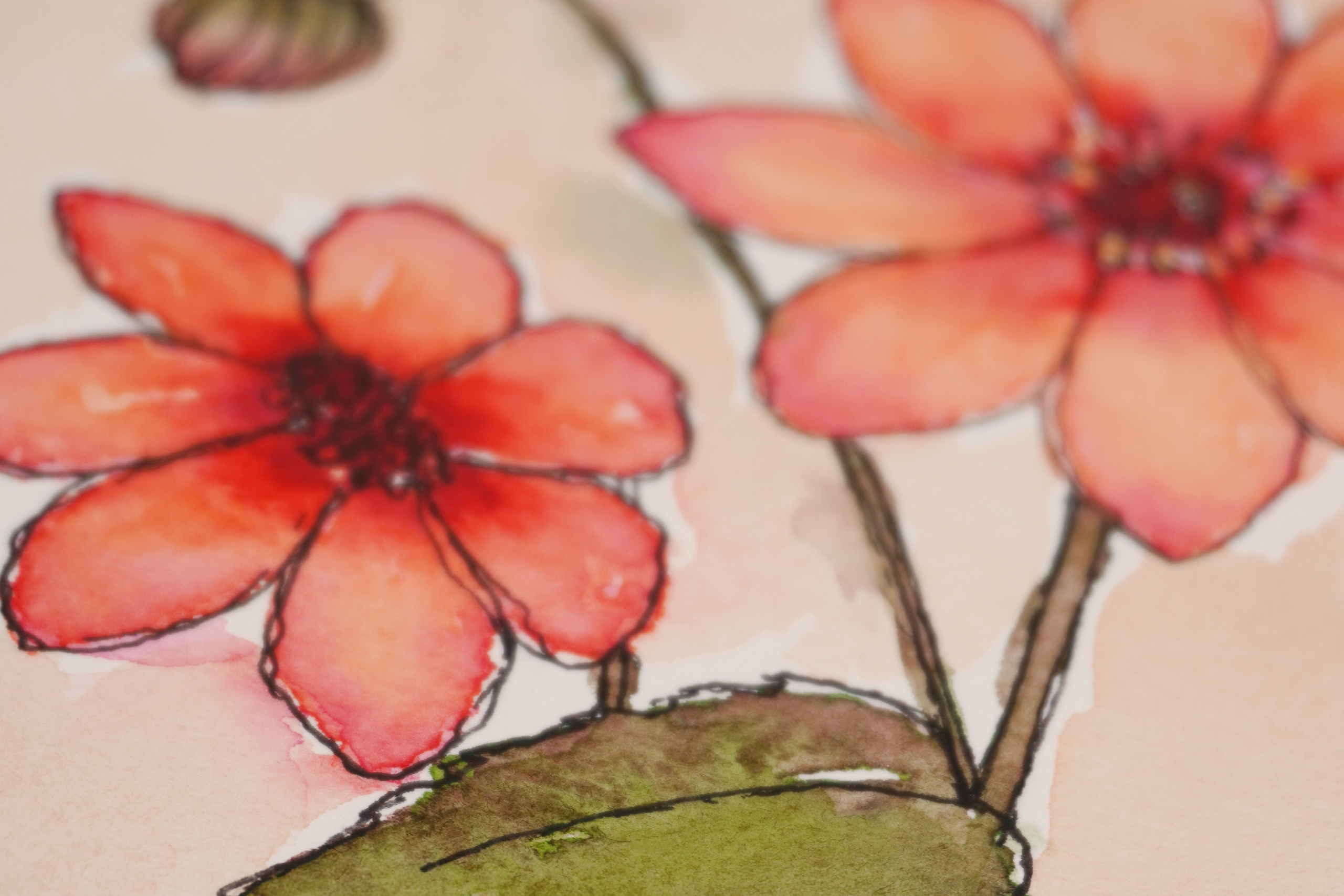 Soft-Embrace-Close-Up-Dahlia-Header